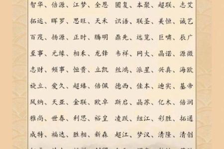 探索最受欢迎的免费公司起名网大全