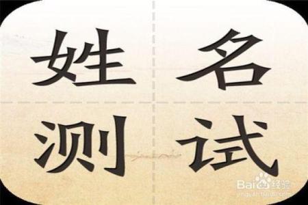 如何选择靠谱公司起名服务？市场上的最佳选择