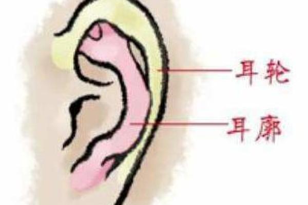 头骨角面相揭秘：面相中的神秘密码，揭秘你的命运与性格