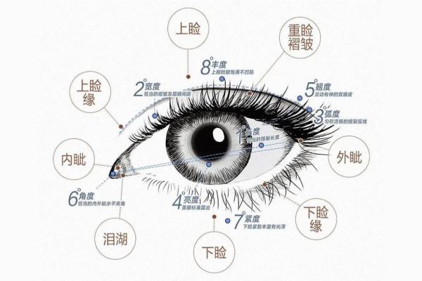 头骨角面相揭秘：面相中的神秘密码，揭秘你的命运与性格