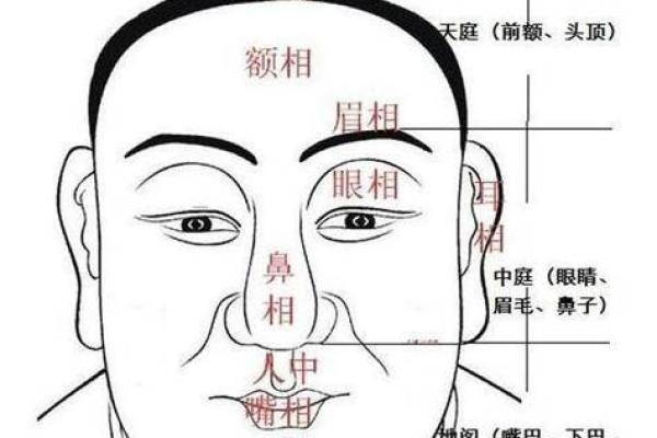 痣相揭秘：苏民峰教你一眼看穿命运