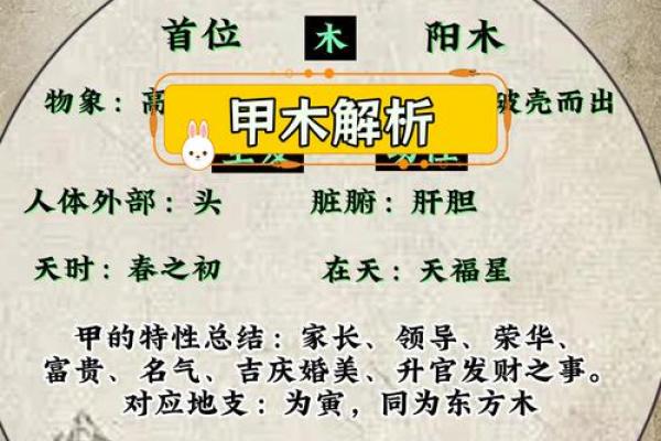天干背后的秘密，如何影响你的运势？