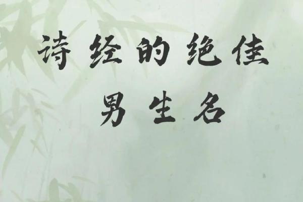 诗经起名公司：让经典诗经照亮你孩子的名字之路