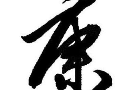 最火的康字起名技巧与建议