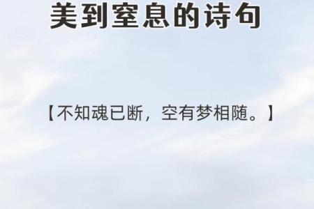 诗句赋名，给你的作品添光彩