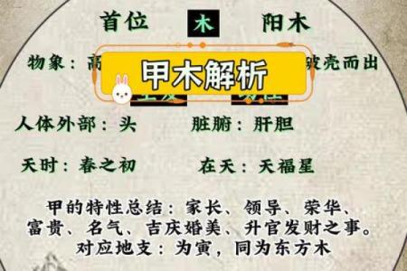 天干背后的秘密，如何影响你的运势？
