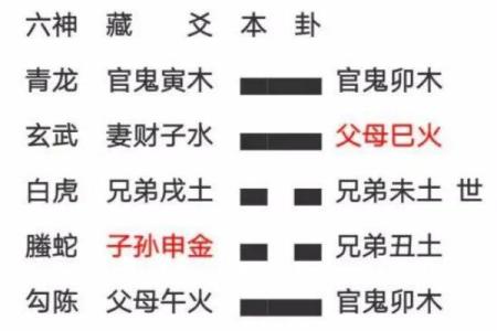 提升命运的关键：六爻在线排盘使用指南