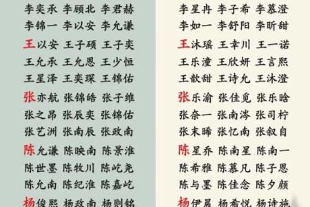 诗经起名公司：让经典诗经照亮你孩子的名字之路
