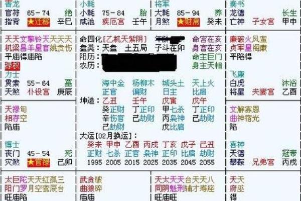 科技紫微斗数排盘免费使用，精准解析人生运势