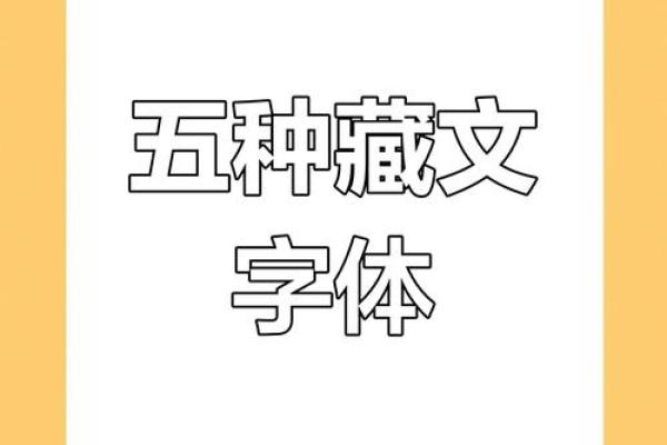 探索衣字五行属性，揭开字义背后的秘密