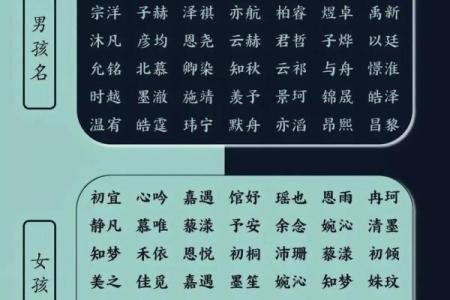 免费起名测名网：让名字为你带来好运和成功