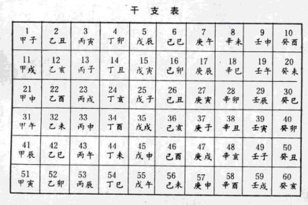 必备！天干地支生肖对照表详解