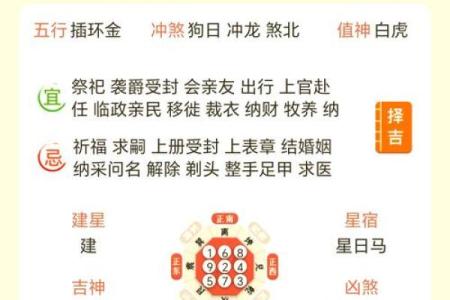 解命日，今日揭秘命运之谜