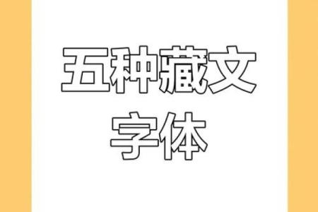 探索衣字五行属性，揭开字义背后的秘密