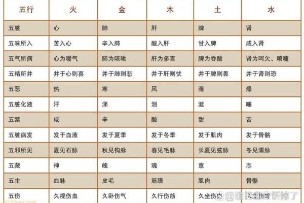 闻字五行属性深度分析