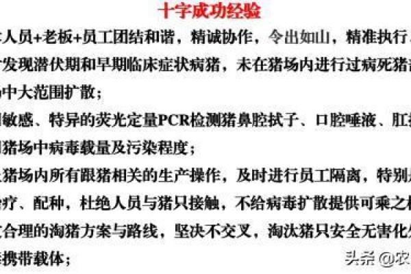 河洛数在线排盘揭秘：如何精准分析命运走势