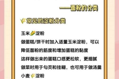 面粉起名指南，成功品牌的第一步