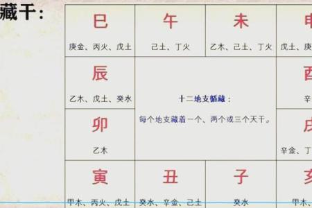 纾字五行解析：了解它在命理中的深刻含义
