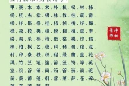 龙字五行知识大揭秘 让你深入了解五行玄机