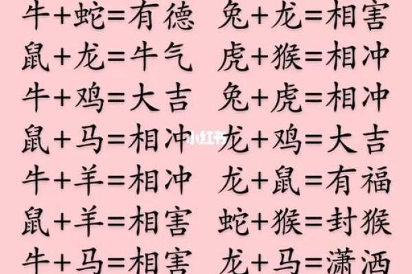 生肖与名字：如何结合生肖特点选择名字