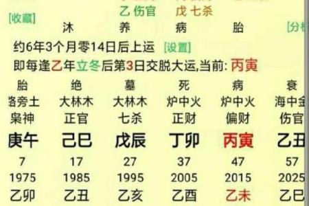 精通生辰八字，掌握命运的钥匙