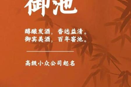 公司起名技巧大揭秘，如何为企业选择一个爆款名字