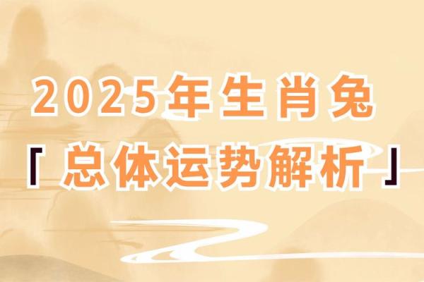 属兔人的财运亨通：揭秘兔年生的富贵命格