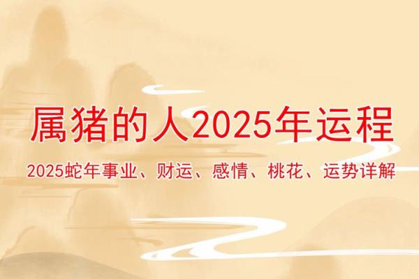 猪年运势：揭秘猪宝宝的命理秘密