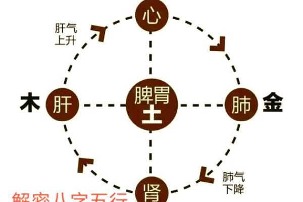从木的天干看命运的转折点