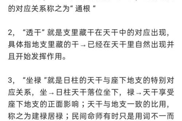八字通根在命理中的重要性，你了解多少
