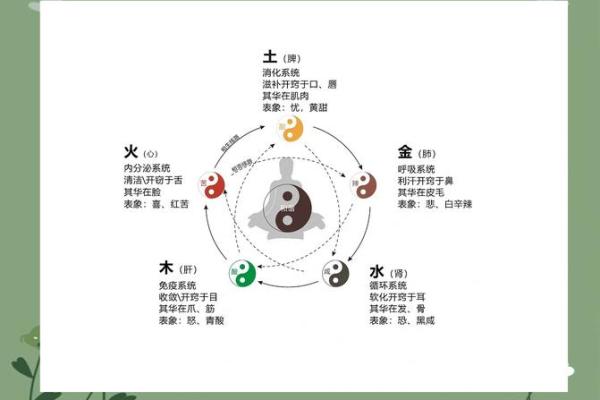 探秘建五行属性的奥秘，你知道它对命运的影响吗