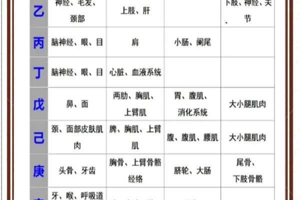天干地支揭秘：如何根据月日推算命运变化