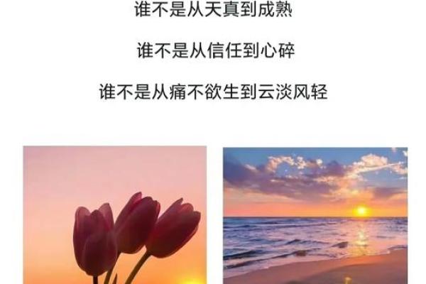 掌握易经排盘法，让你看透人生每一个关键时刻