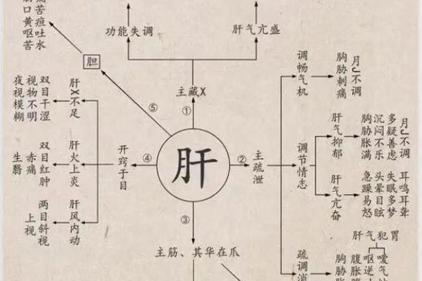 从五行看五脏六腑的平衡与健康