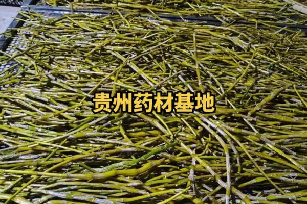 如何为药材公司起个响亮且具辨识度的名字