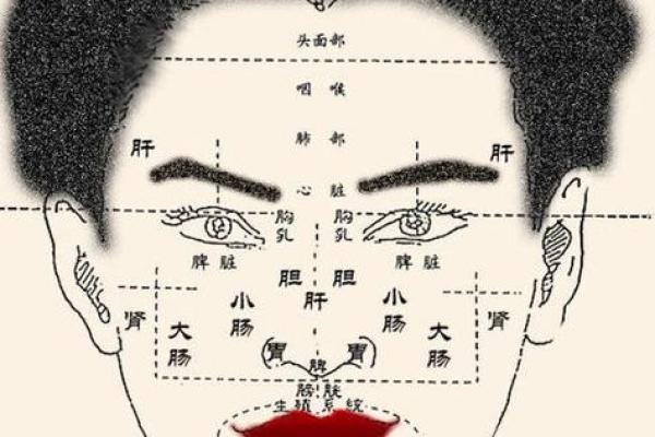 面相解析：揭秘你的贵人运，如何一眼看出命中贵人