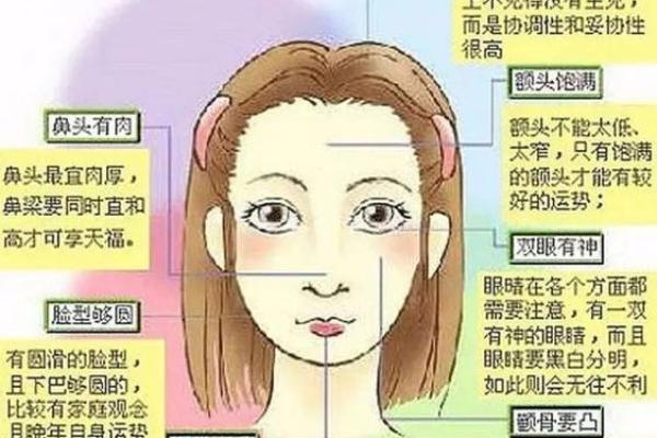 面相大变脸揭秘颜值暴跌的惊人真相