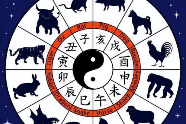 肖与天干地支的智慧，帮助你提升个人运势