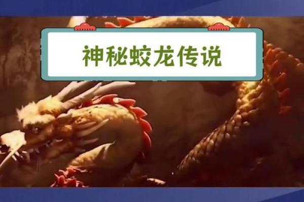 面相揭秘：蛟龙出海，运势亨通的秘密面相特征