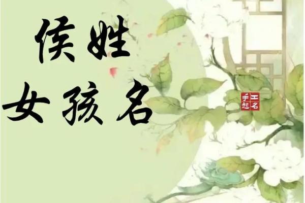 侯姓男孩最佳起名推荐，选择一个寓意深远的名字
