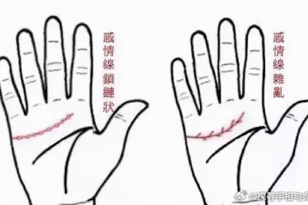 揭秘手相奥秘，轻松看透命运