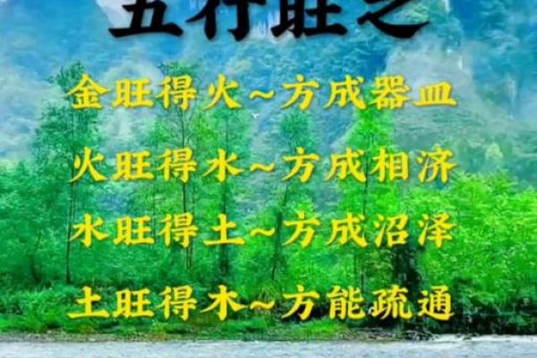 了解老字五行属性，开启文化之旅