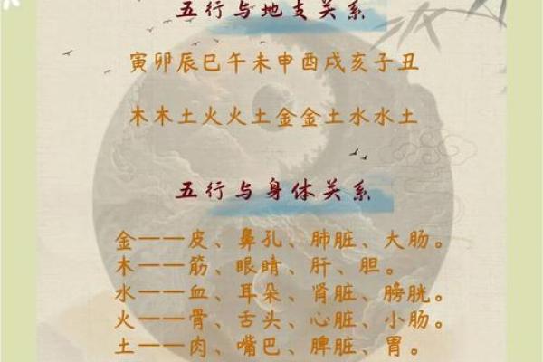 深度解读浩五行属性：你必须知道的五行秘密