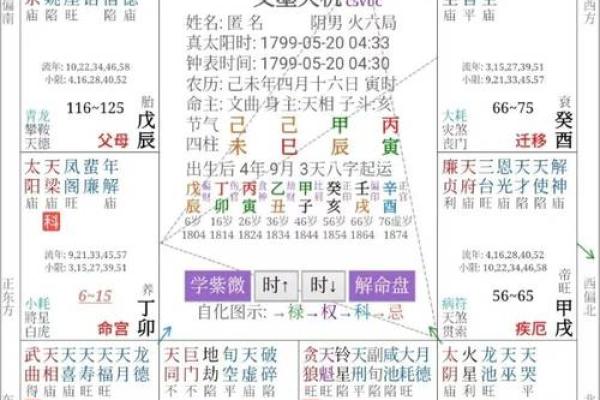 紫薇排盘精准分析，揭示命运走向的秘密