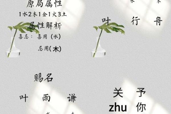 叶氏传承起名：如何选择最符合命运的名字