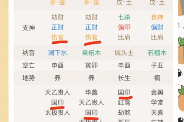 揭秘生命奥秘：命理之道，揭示命运真相