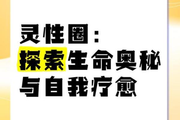 揭秘生命奥秘：命理之道，揭示命运真相