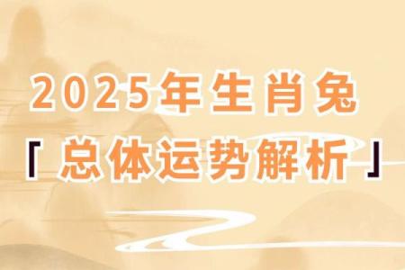 属兔人的财运亨通：揭秘兔年生的富贵命格