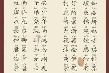 武姓女孩名字大全，帮你选个最合适的名字