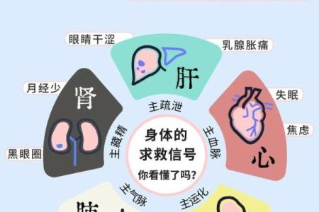 从五行看五脏六腑的平衡与健康
